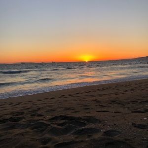 Meet your Posher, Marlene